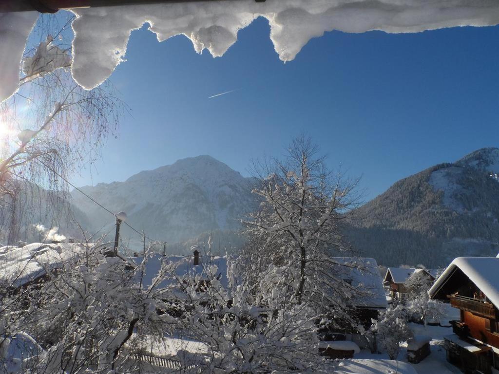Alpakahof Wechs Villa Bad Hindelang Kültér fotó