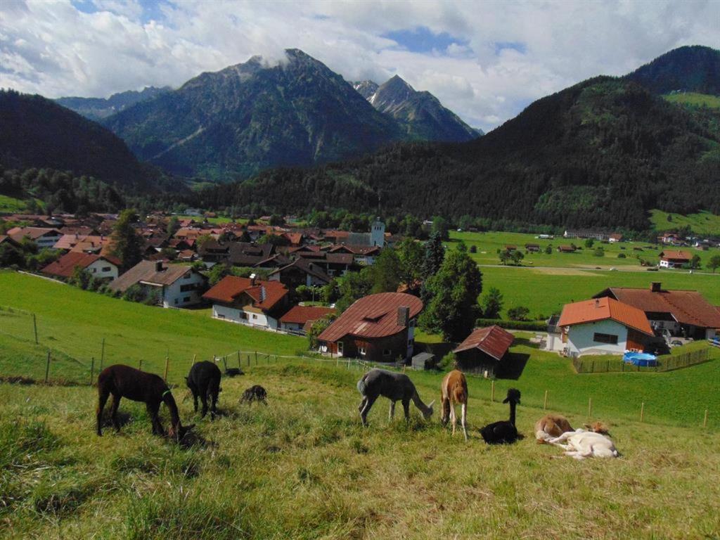 Alpakahof Wechs Villa Bad Hindelang Kültér fotó